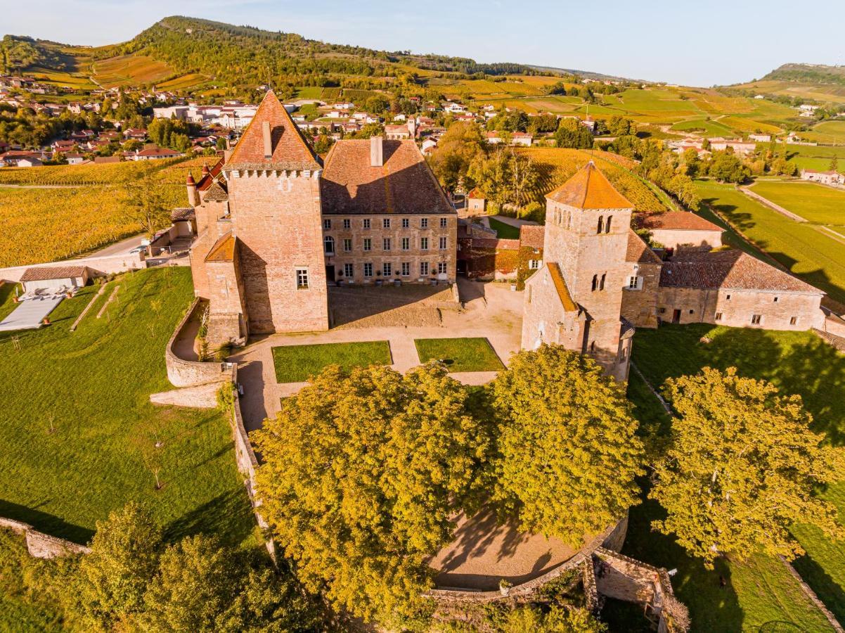 Chateau De Pierreclos Экстерьер фото
