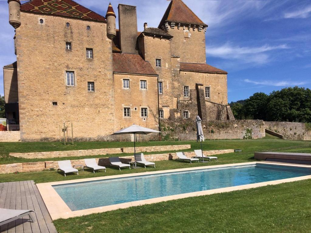 Chateau De Pierreclos Экстерьер фото