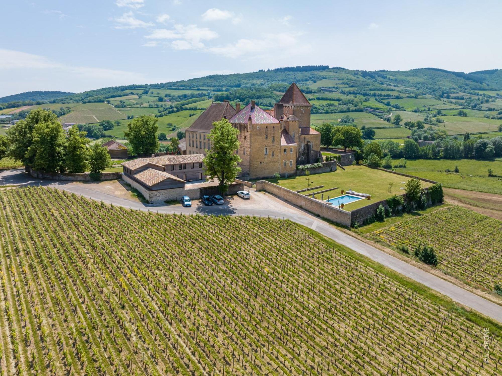 Chateau De Pierreclos Экстерьер фото